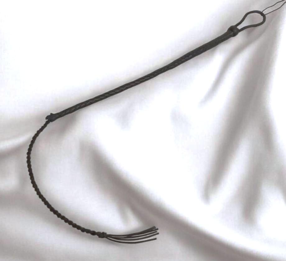 das Striemchen - die gemeine kleine Schwester der Bullwhip