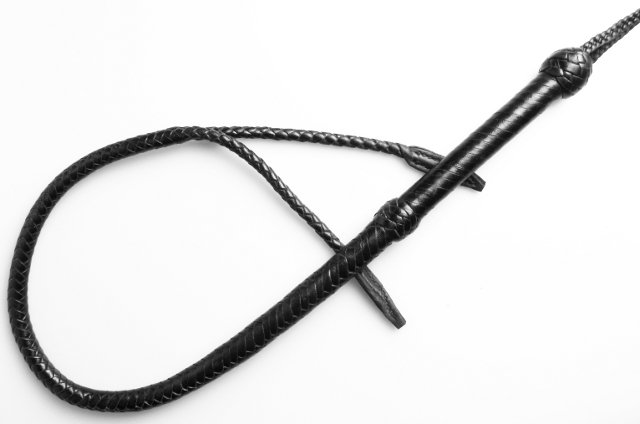 Schlangenbiss - zwei Zungen