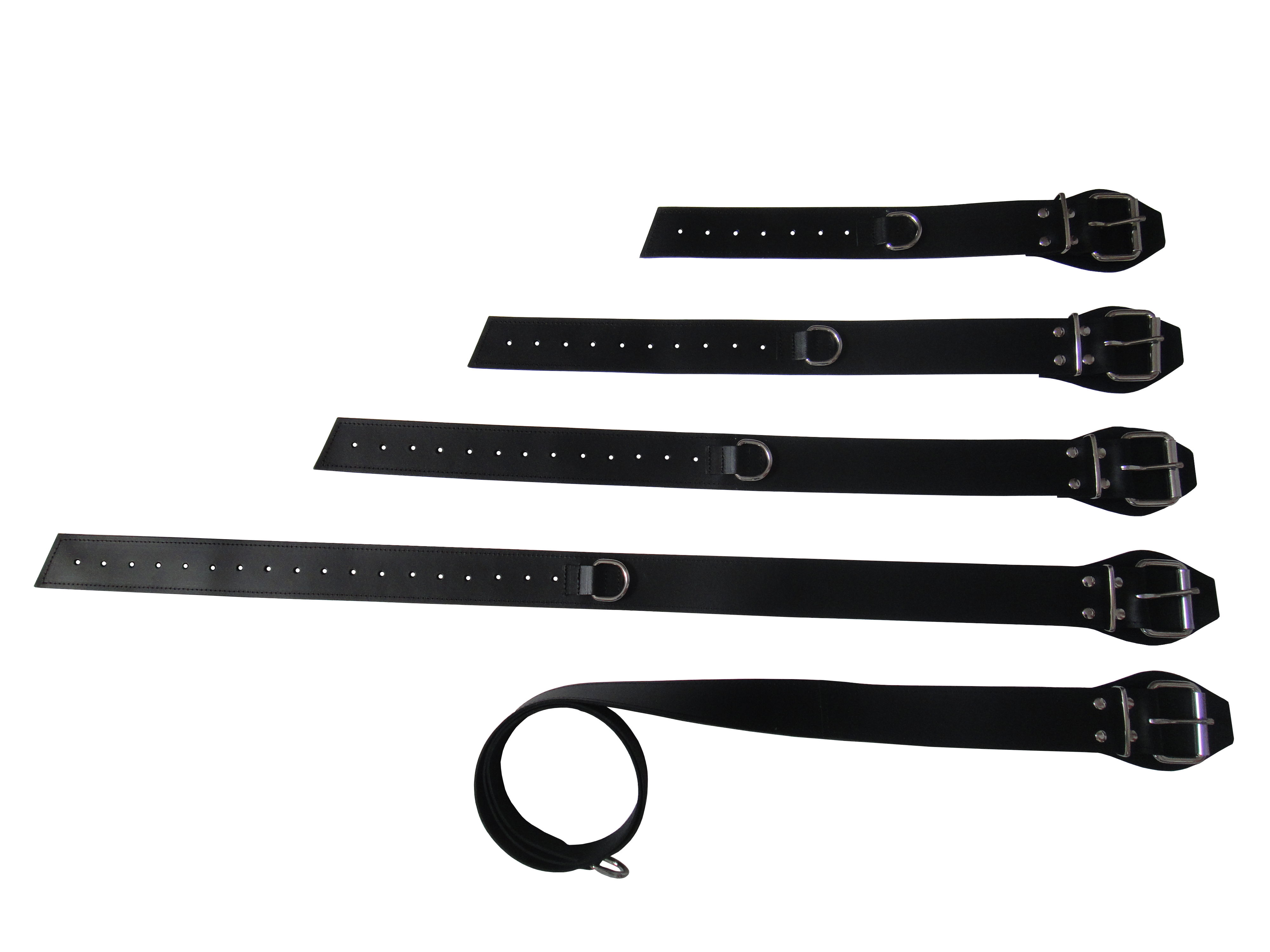 Multifunktions Ledergurt Set mit D-Ring